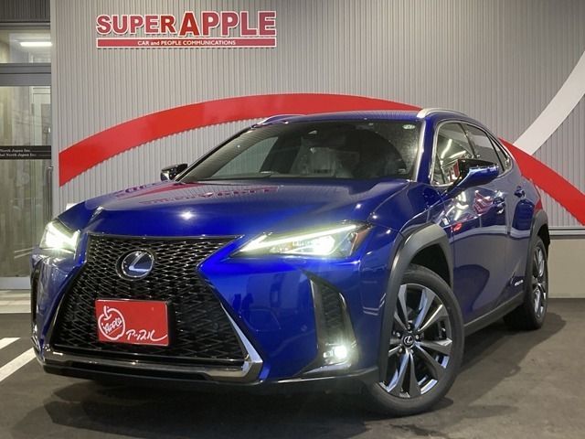 2019 TOYOTA LEXUS UX250h AWD for sale from Japan - ATCJapan-04920101