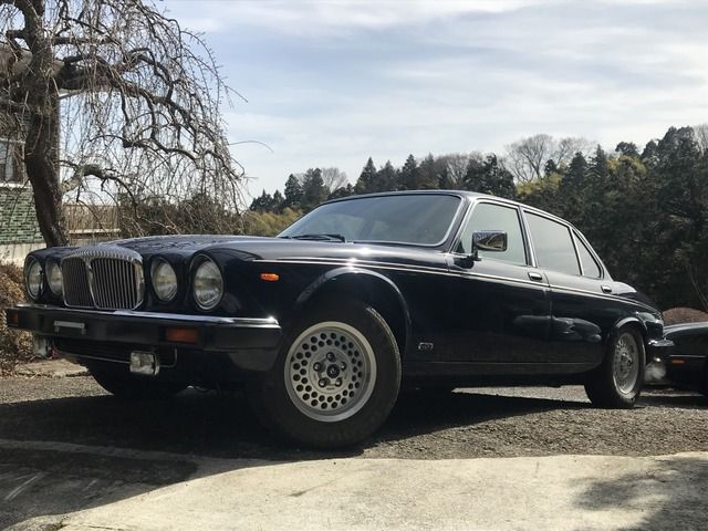 1991 DAIMLER DAIMLER DAIMLER for sale from Japan - ATCJapan-10565904
