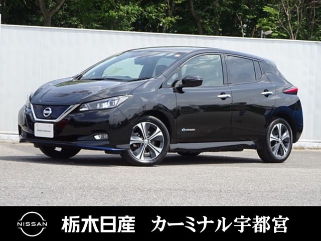 2019 NISSAN LEAF for sale from Japan - ATCJapan-14862700