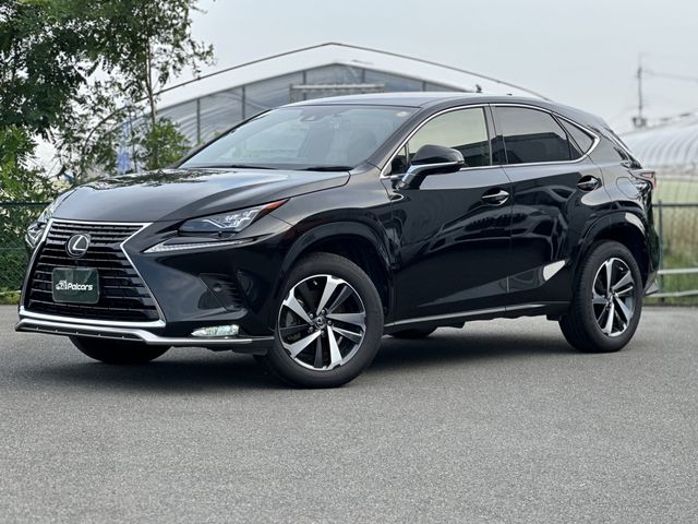 2020 TOYOTA LEXUS NX300 for sale from Japan - ATCJapan-16460827