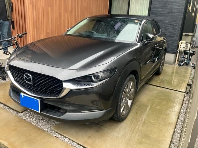 2019 MAZDA CX-30 for sale from Japan - ATCJapan-18065850