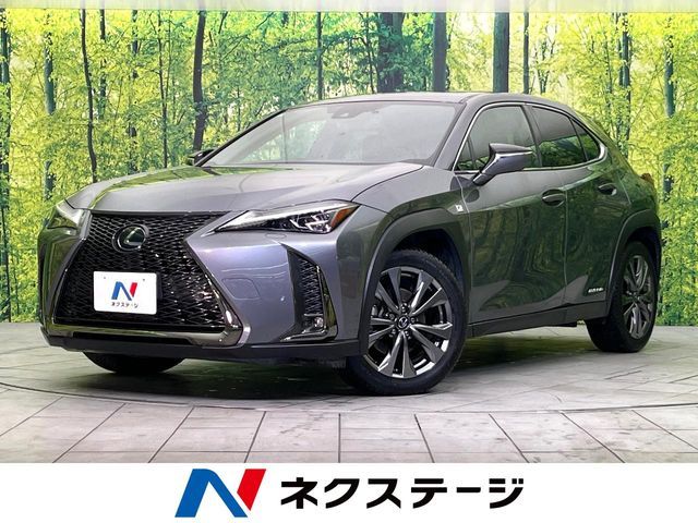 2021 TOYOTA LEXUS UX250h AWD for sale from Japan - ATCJapan-18660602