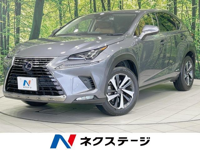 2020 TOYOTA LEXUS NX300h for sale from Japan - ATCJapan-18662778