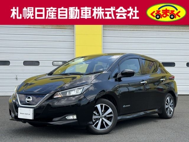 2020 NISSAN LEAF for sale from Japan - ATCJapan-18700013