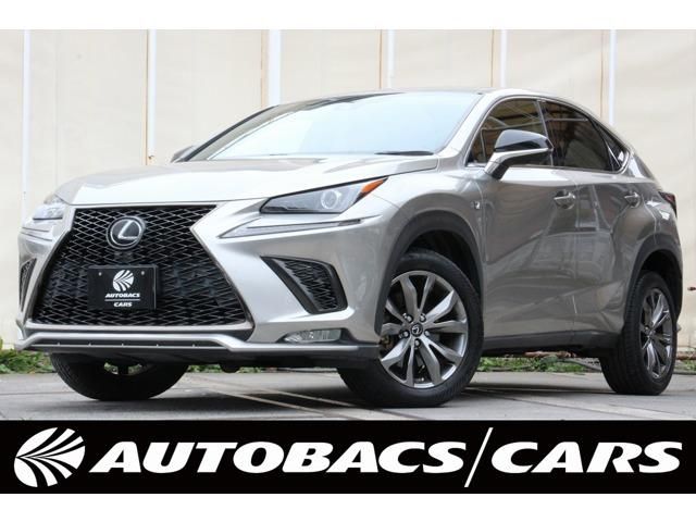 2019 TOYOTA LEXUS NX300 for sale from Japan - ATCJapan-18861941