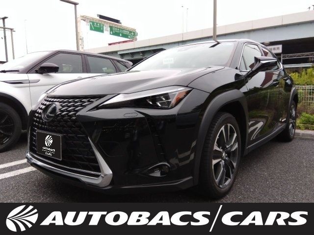 2019 TOYOTA LEXUS UX250h for sale from Japan - ATCJapan-18965099