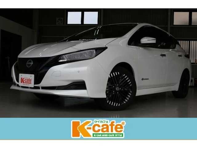 2023 NISSAN LEAF for sale from Japan - ATCJapan-19266961