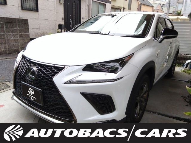 2019 TOYOTA LEXUS NX300 for sale from Japan - ATCJapan-19465092