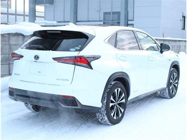 2017 TOYOTA LEXUS NX300h AWD for sale from Japan - ATCJapan-19866721